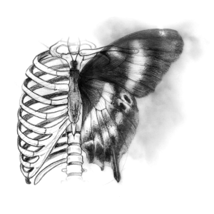 NFCD